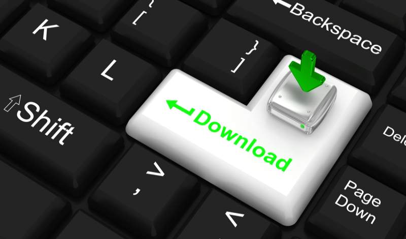 download icon on enter key - ActPay Payroll