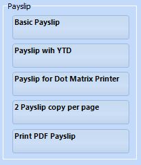 Payroll reports - Payslip formats